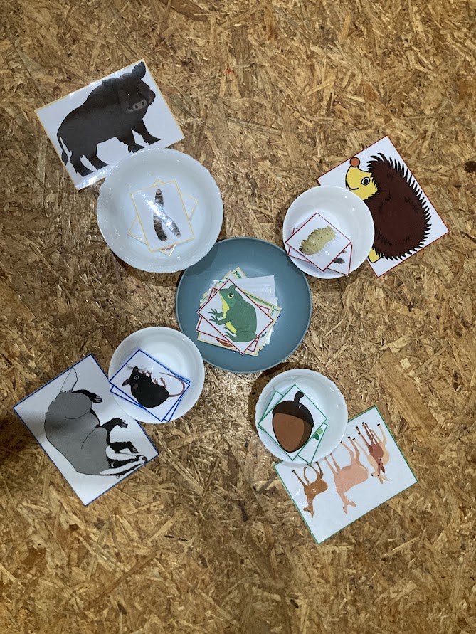 Krmení lesní zvěře